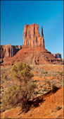 Monument Valley Mitten Butte and Tree
