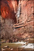 Zion National Park: Canyon Falls Vertical