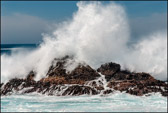 Pt. Lobos Wave