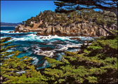 Cypress Cove, Pt. Lobos