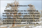 001-BRCN-000_OpeningSlide.jpg