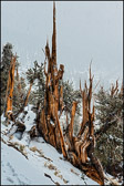 004-BRCN-044_Three_Spires.jpg