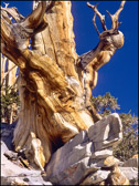 017-BRCN-011-Eagle_Rock.jpg