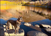Marty Enjoying North Lake Sunrise