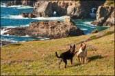 010-MindyMendocino_Oct2010.jpg