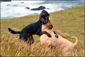 011-MindyMendocino_Oct2010.jpg