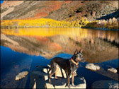 012_NorthLakeSunrsie_Oct2010.jpg
