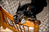 017_ChillinAtHome-Aug2012.jpg