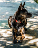 021_Backyard-Oct2014.jpg