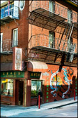 SFCT-054_Herbal_Medicine_Store.jpg