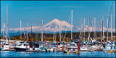 BCVC-005_OakBay_MtBaker-960.jpg