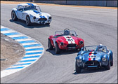 LSVN-001_Three_64_289Cobras.jpg