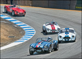 LSVN-004_Three289Cobras_plus_One427.jpg