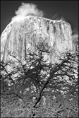 El Capitan in Winter B&W