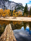 Merced River Log