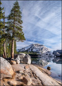 Tenaya Lake Morning II Vertical